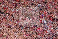 Massenkultur - Fans des FC Bayern Muenchen - Fotoagentur Sofianos Wagner